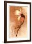 Magnolia and Cream I-Richard Sutton-Framed Art Print