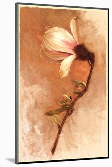 Magnolia and Cream I-Richard Sutton-Mounted Art Print