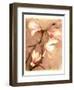 Magnolia and Cream II-Richard Sutton-Framed Premium Giclee Print
