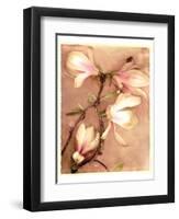 Magnolia and Cream II-Richard Sutton-Framed Premium Giclee Print