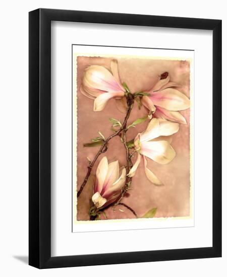 Magnolia and Cream II-Richard Sutton-Framed Premium Giclee Print