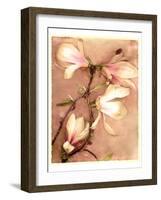 Magnolia and Cream II-Richard Sutton-Framed Art Print