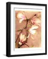 Magnolia and Cream II-Richard Sutton-Framed Art Print