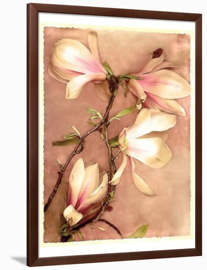 Magnolia and Cream II-Richard Sutton-Framed Art Print