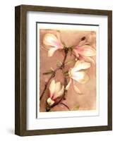 Magnolia and Cream II-Richard Sutton-Framed Art Print