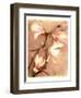 Magnolia and Cream II-Richard Sutton-Framed Art Print