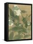 Magnolia and Praying Mantis-null-Framed Stretched Canvas