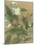 Magnolia and Praying Mantis-null-Mounted Art Print