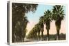 Magnolia Avenue, Riverside, California-null-Stretched Canvas