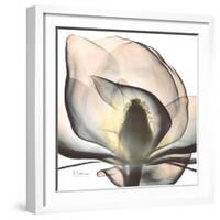 Magnolia Beauty-Albert Koetsier-Framed Premium Giclee Print