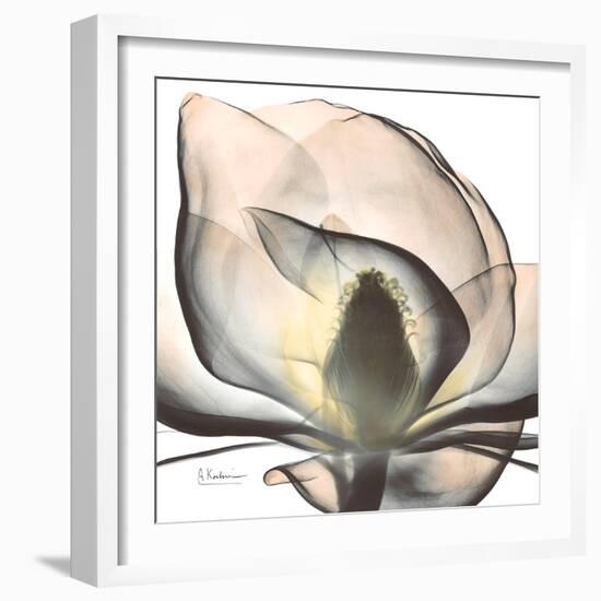 Magnolia Beauty-Albert Koetsier-Framed Premium Giclee Print