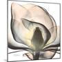 Magnolia Beauty-Albert Koetsier-Mounted Premium Giclee Print