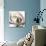Magnolia Beauty-Albert Koetsier-Premium Giclee Print displayed on a wall