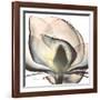 Magnolia Beauty-Albert Koetsier-Framed Premium Giclee Print