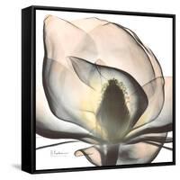 Magnolia Beauty-Albert Koetsier-Framed Stretched Canvas