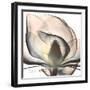 Magnolia Beauty-Albert Koetsier-Framed Art Print