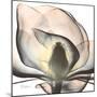 Magnolia Beauty-Albert Koetsier-Mounted Art Print