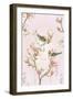 Magnolia Birds-Janneke Brinkman-Salentijn-Framed Giclee Print