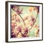 Magnolia Bloom I-Irene Suchocki-Framed Giclee Print