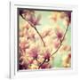 Magnolia Bloom I-Irene Suchocki-Framed Giclee Print