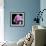 Magnolia Bloom on Black Background-Anna Miller-Framed Photographic Print displayed on a wall