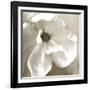 Magnolia Blooming-Kimberly Allen-Framed Art Print