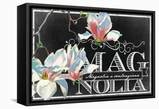 Magnolia Blooms-null-Framed Stretched Canvas