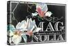 Magnolia Blooms-null-Stretched Canvas