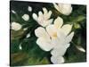 Magnolia Blooms-Julia Purinton-Stretched Canvas