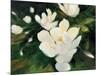 Magnolia Blooms-Julia Purinton-Mounted Art Print