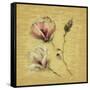 Magnolia Blossom on Gold-Cheri Blum-Framed Stretched Canvas