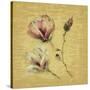 Magnolia Blossom on Gold-Cheri Blum-Stretched Canvas