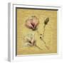 Magnolia Blossom on Gold-Cheri Blum-Framed Art Print