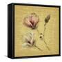 Magnolia Blossom on Gold-Cheri Blum-Framed Stretched Canvas