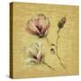 Magnolia Blossom on Gold-Cheri Blum-Stretched Canvas