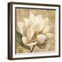 Magnolia Blossom on Script-Albena Hristova-Framed Art Print