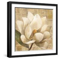 Magnolia Blossom on Script-Albena Hristova-Framed Art Print