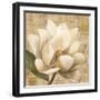 Magnolia Blossom on Script-Albena Hristova-Framed Art Print