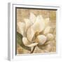 Magnolia Blossom on Script-Albena Hristova-Framed Art Print