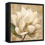 Magnolia Blossom on Script-Albena Hristova-Framed Stretched Canvas