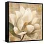 Magnolia Blossom on Script-Albena Hristova-Framed Stretched Canvas