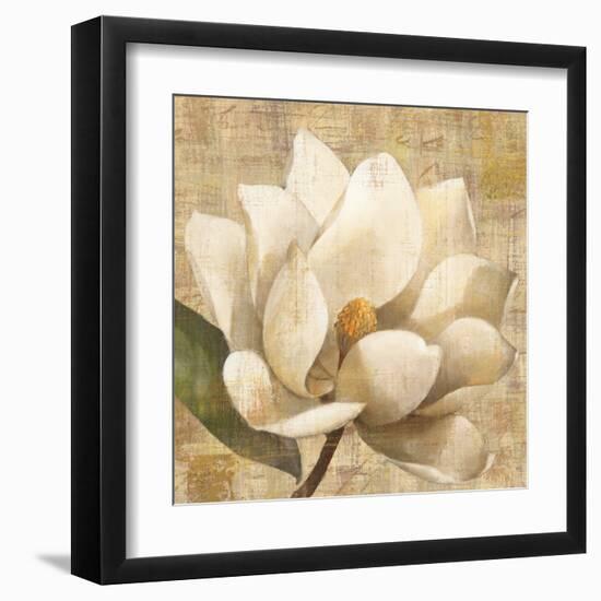 Magnolia Blossom on Script-Albena Hristova-Framed Art Print