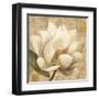 Magnolia Blossom on Script-Albena Hristova-Framed Art Print