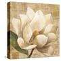 Magnolia Blossom on Script-Albena Hristova-Stretched Canvas