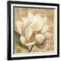 Magnolia Blossom on Script-Albena Hristova-Framed Art Print