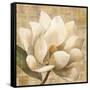 Magnolia Blossom on Script-Albena Hristova-Framed Stretched Canvas