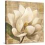 Magnolia Blossom on Script-Albena Hristova-Stretched Canvas