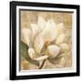 Magnolia Blossom on Script-Albena Hristova-Framed Art Print