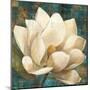 Magnolia Blossom Turquoise-Albena Hristova-Mounted Art Print
