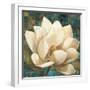 Magnolia Blossom Turquoise-Albena Hristova-Framed Art Print